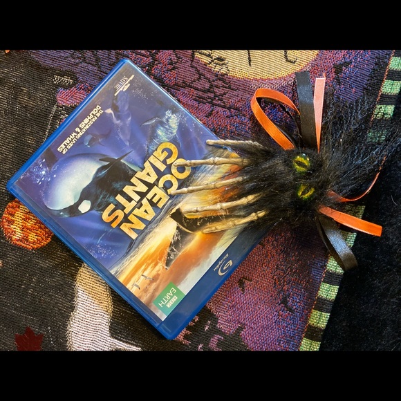 BBC Earth - Picture 2 of 6